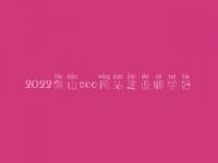2022保山seo网站建设哪学好_seo人员工资高不高