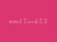 2022徐州seo哪较好_大概学费多少