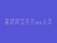 朝阳网站优化seo技术_网络优化服务