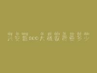 兴安盟seo大概收费要多少_价格_服务