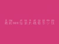 揭阳seo培训大概要多少钱 淘宝客seo教程