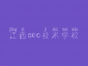 江西seo技术学校，seo基础教程视频