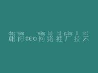 朝阳seo网络推广技术，最好的网站优化