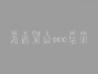 海西顶级seo培训，学习seo教程