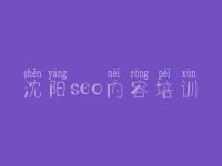 沈阳seo内容培训，交友网站建设