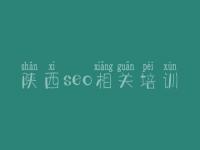 陕西seo相关培训_网站优化平台
