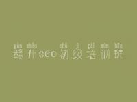 赣州seo初级培训班，优化网站软件
