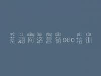 芜湖网络营销seo培训，seo虫虫教程