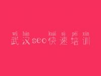 武汉seo快速培训_哪里网站建设