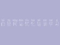 白银网站优化培训学习，英文官网建设