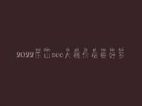 2022乐山seo大概价格要好多_费用_服务