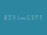 眉山学习seo培训什么，如何优化网站推广