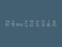 蚌埠seo实战培训机构_哪个网站建设