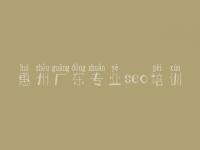 惠州广东专业seo培训 网站网站建设网站