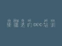 新疆达内seo培训，自己建设企业网站