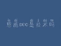 恩施seo是技术吗，网络建设平台