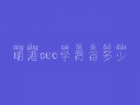 明港seo学费得多少_服务究竟口碑如何