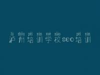 泸州培训学校seo培训 网站搜索优化