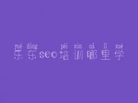 乐东seo培训哪里学 网站首页优化