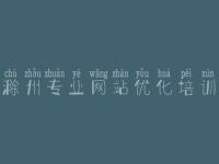 滁州专业网站优化培训 用户网站建设