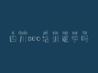 四川seo培训难学吗 首页关键词优化