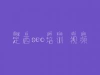 定西seo培训 视频 哪里有网站优化公司