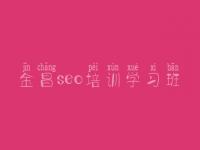 金昌seo培训学习班 新疆网站建设