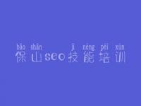 保山seo技能培训，seo视频培训教程