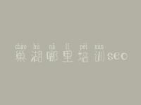 巢湖哪里培训seo，坪地网站优化