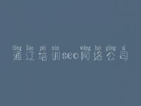 通辽培训seo网络公司_加强网站的建设