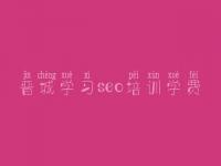 晋城学习seo培训学费_网站版建设