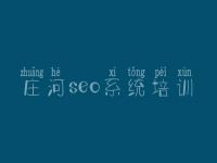 庄河seo系统培训 建设一个网站哪家好