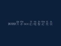 2022萍乡seo白帽教程视频_一流白帽实操