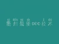 衢州最新seo技术，网页优化公司