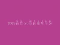 2022白银seo到底哪里学好_大概价格需多少
