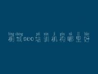 桐城seo培训机构哪里好_seo详细教程
