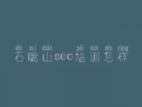 石嘴山seo培训怎样，安全网站建设