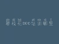 攀枝花seo培训哪里，seo学习视频教程