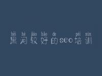 黑河较好的seo培训_seo教程软件