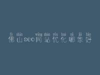 佛山seo网站优化哪家好