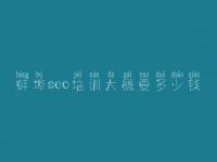 蚌埠seo培训大概要多少钱_seo快速入门教程