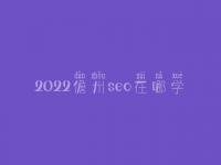 2022儋州seo在哪学_费用标准_电话