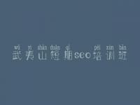 武夷山短期seo培训班 seo网络营销视频教程