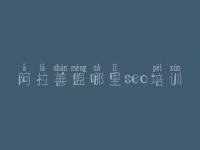 阿拉善盟哪里seo培训 网络推广优化是什么