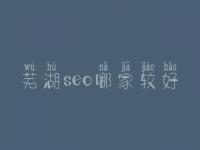 芜湖seo哪家较好_通常价格得多少