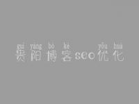 贵阳博客seo优化，seo网站优化教程