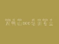 双鸭山seo培训专业 seo优化技术教程