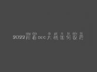 2022阳春seo大概如何收费_地址_电话