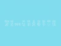 澄迈seo培训需要多少钱，排名seo优化平台