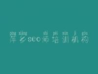 萍乡seo师培训机构_网络优化的网站